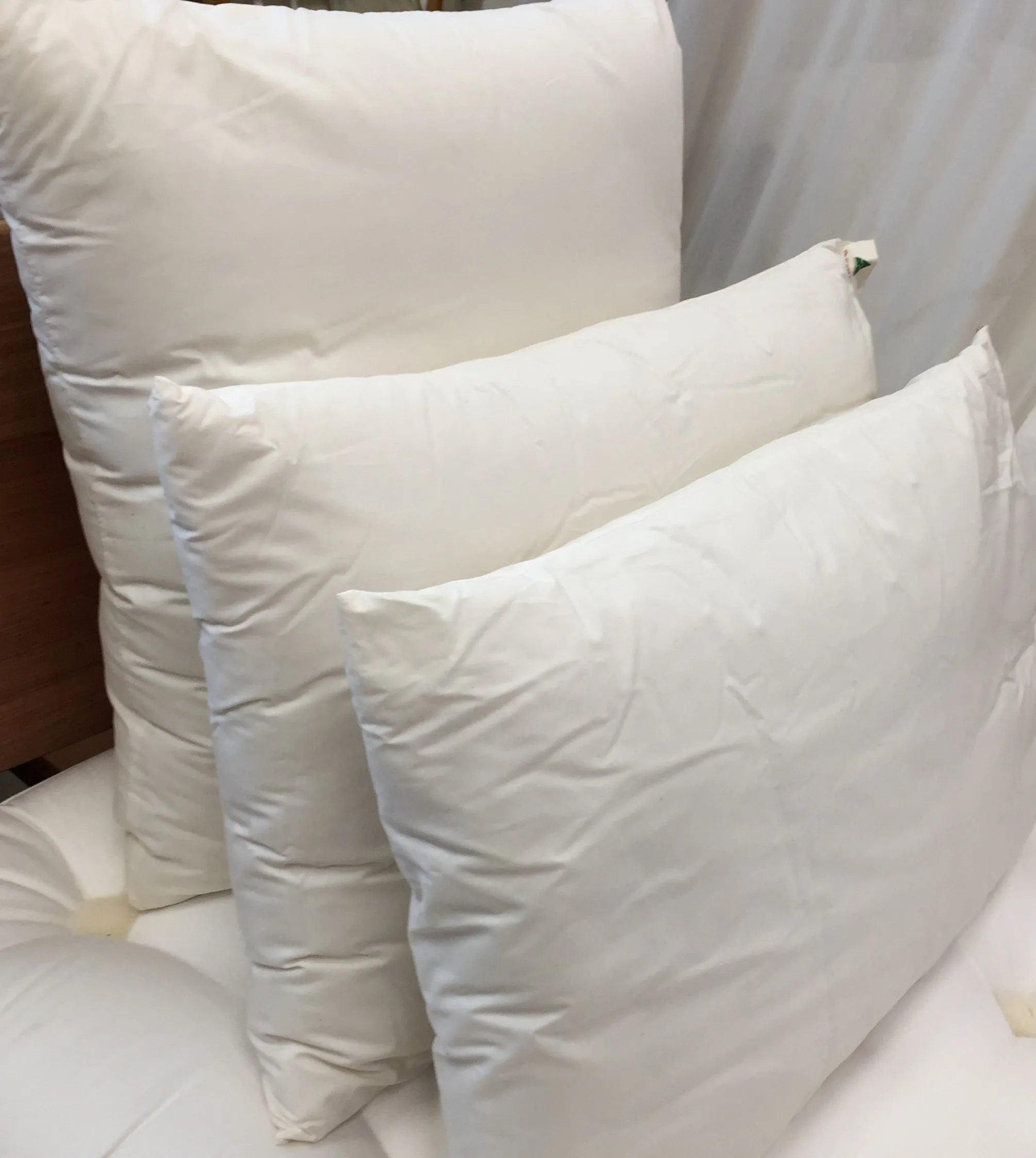 Organic  Euro / Continental Wool Pillow -60x60